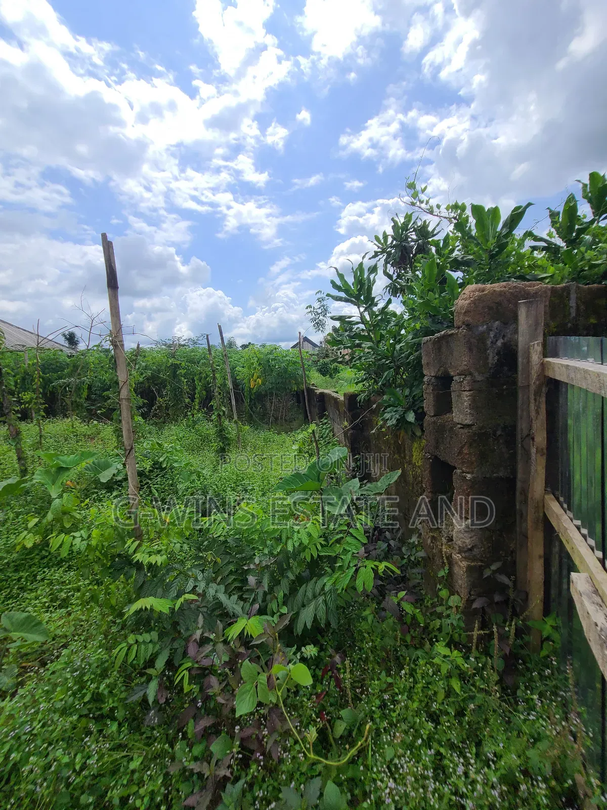 Four Plots of Land at Obayantor