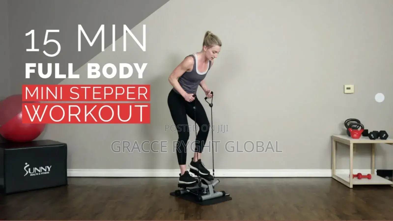 Mini Stepper Exercise Machine
