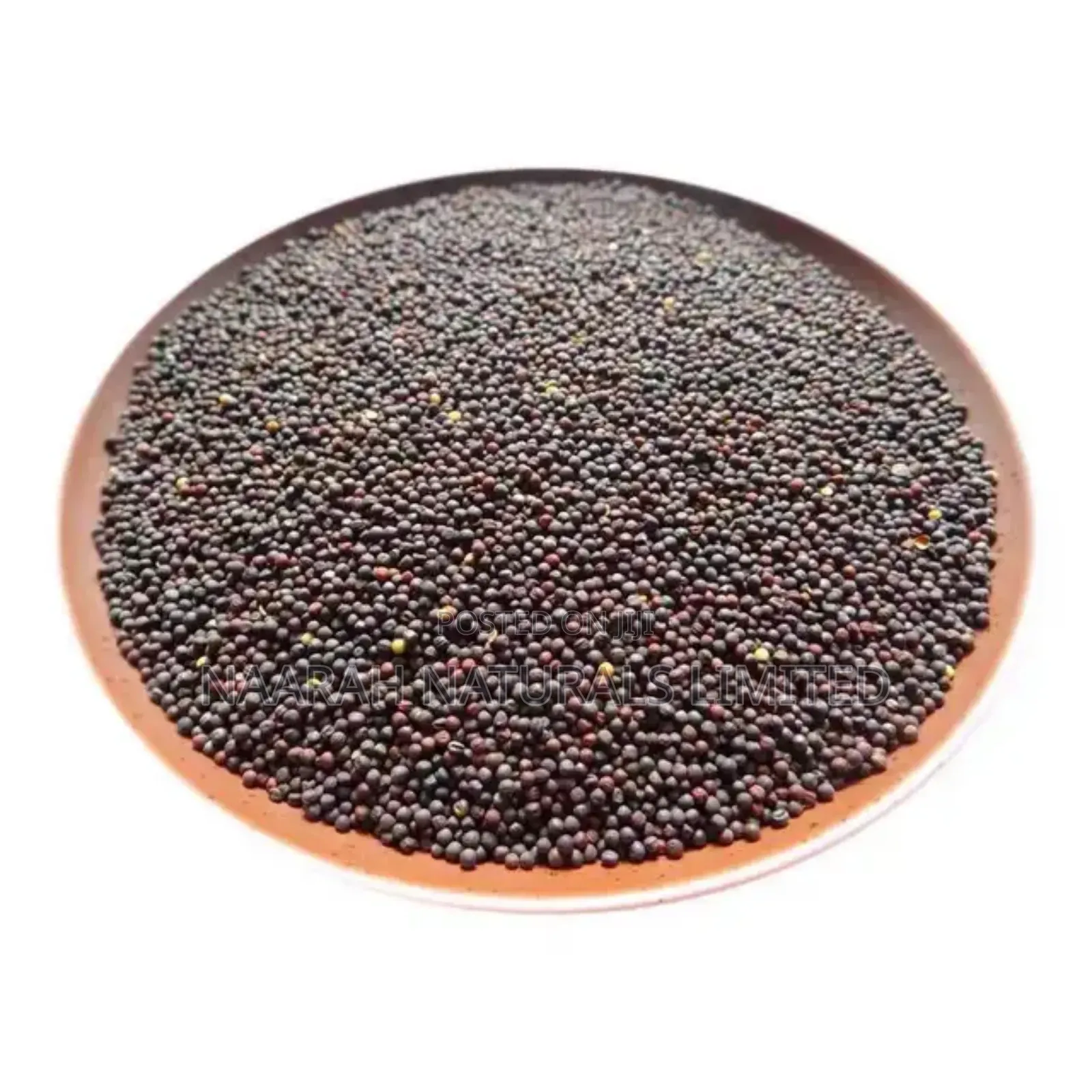 Mustard Seeds - Black Available - 