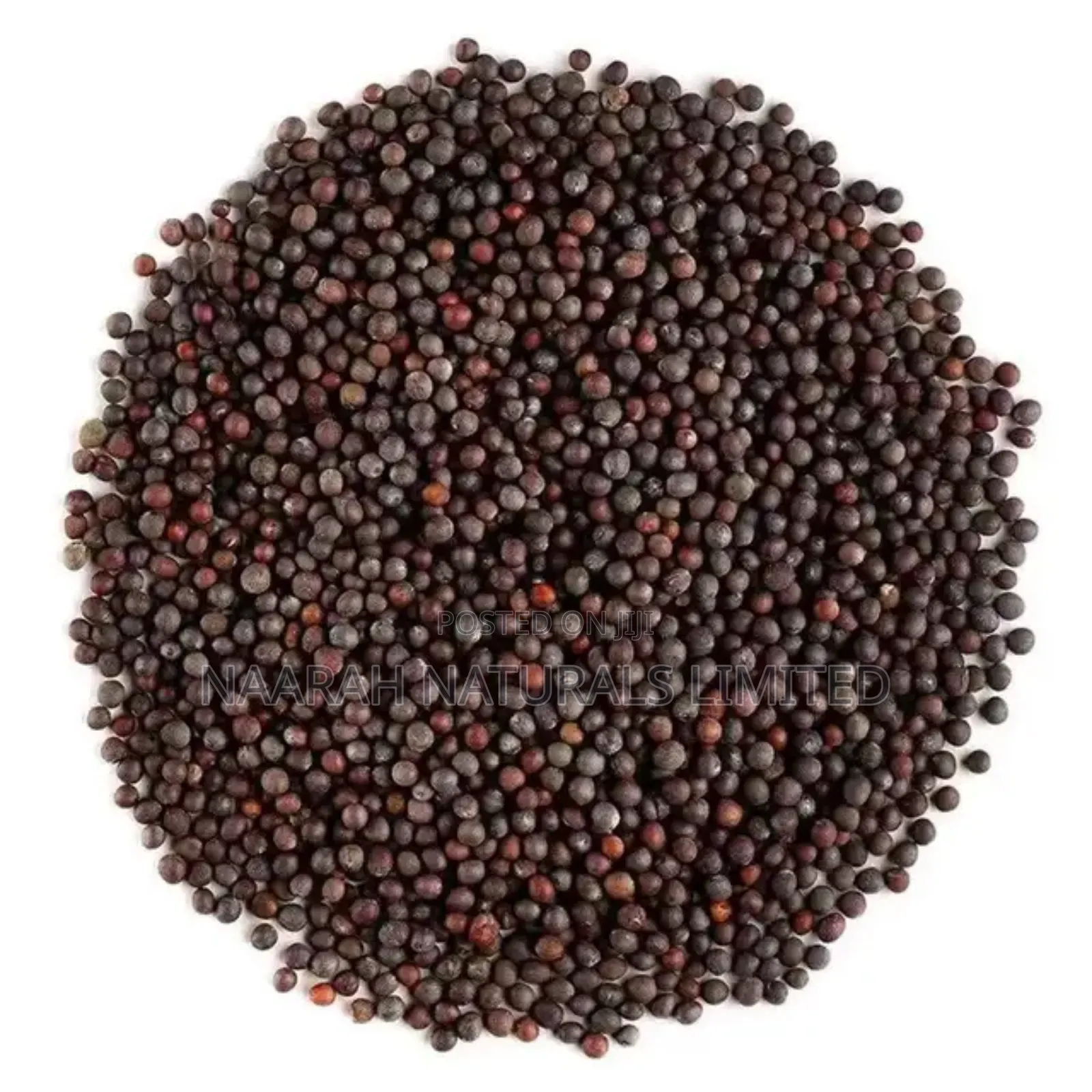 Mustard Seeds - Black Available - 
