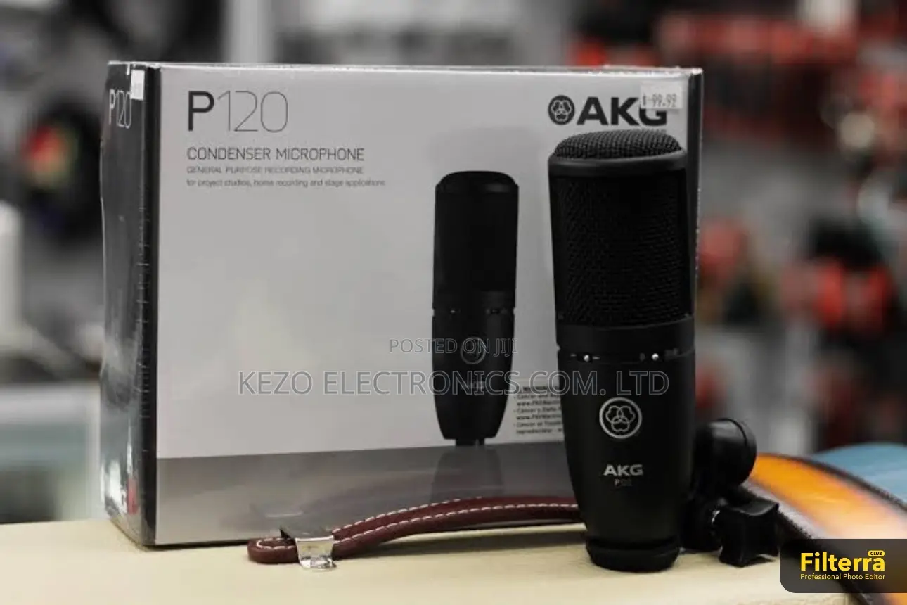 New Akg P120