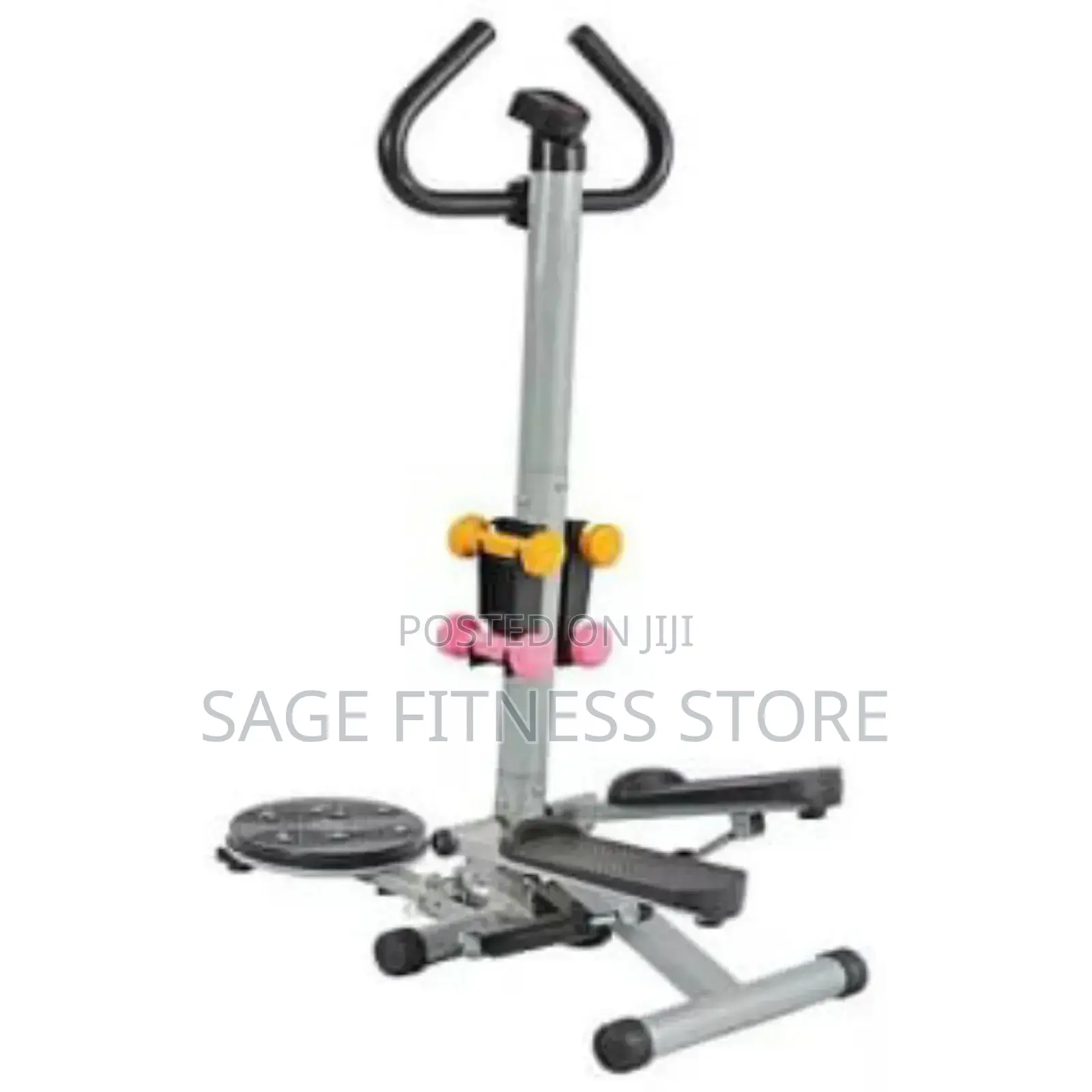 Fitness Standing Stepper With Body Twister