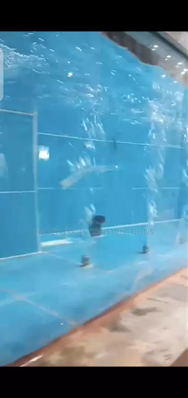 Big Fish Tank, Aquarium for Homes, Office, Business