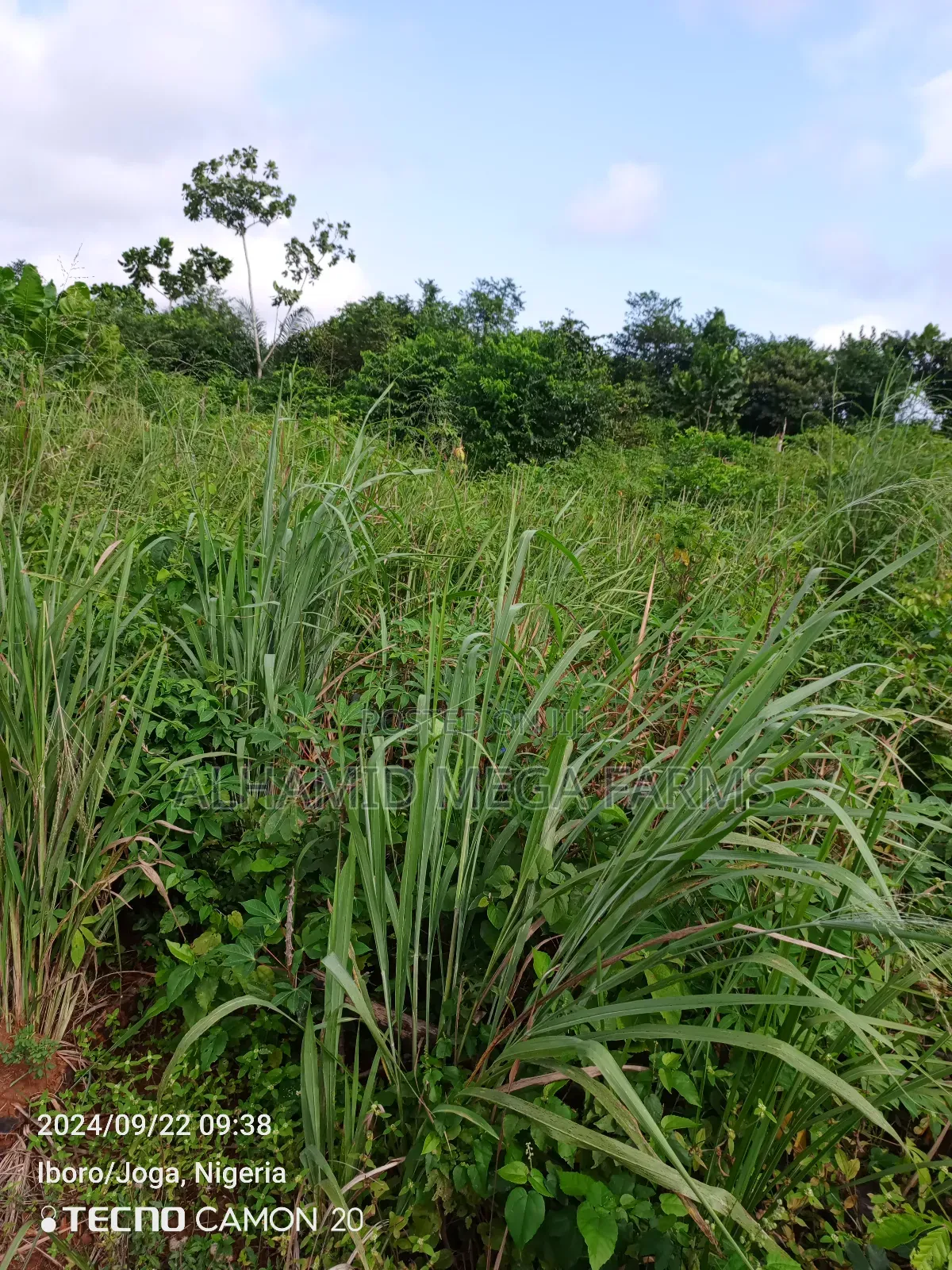 300 Acres of Farmland for Sale at 350,000 Per Acre