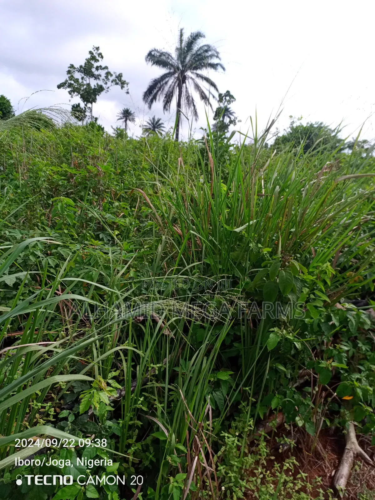 300 Acres of Farmland for Sale at 350,000 Per Acre