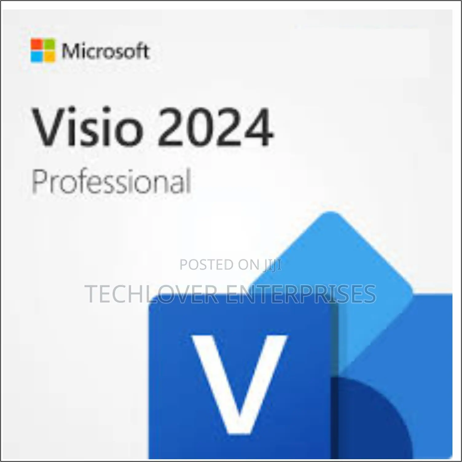 Visio 2024 Professional Bind