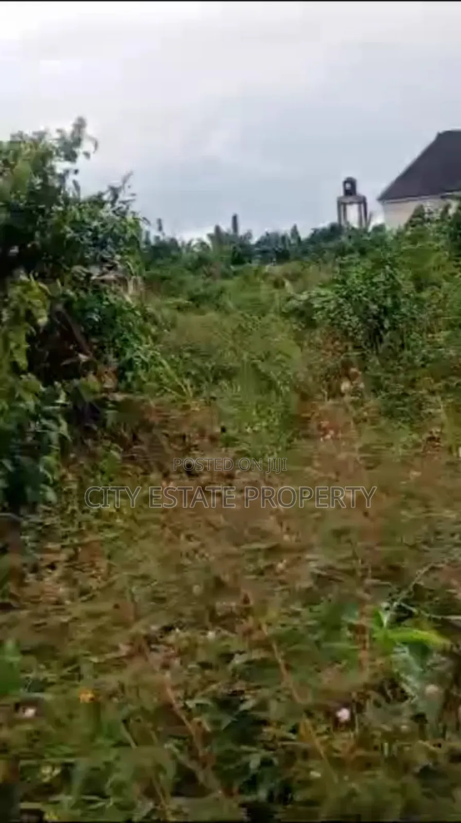One Plot of Land for Sale in Rukpokwu