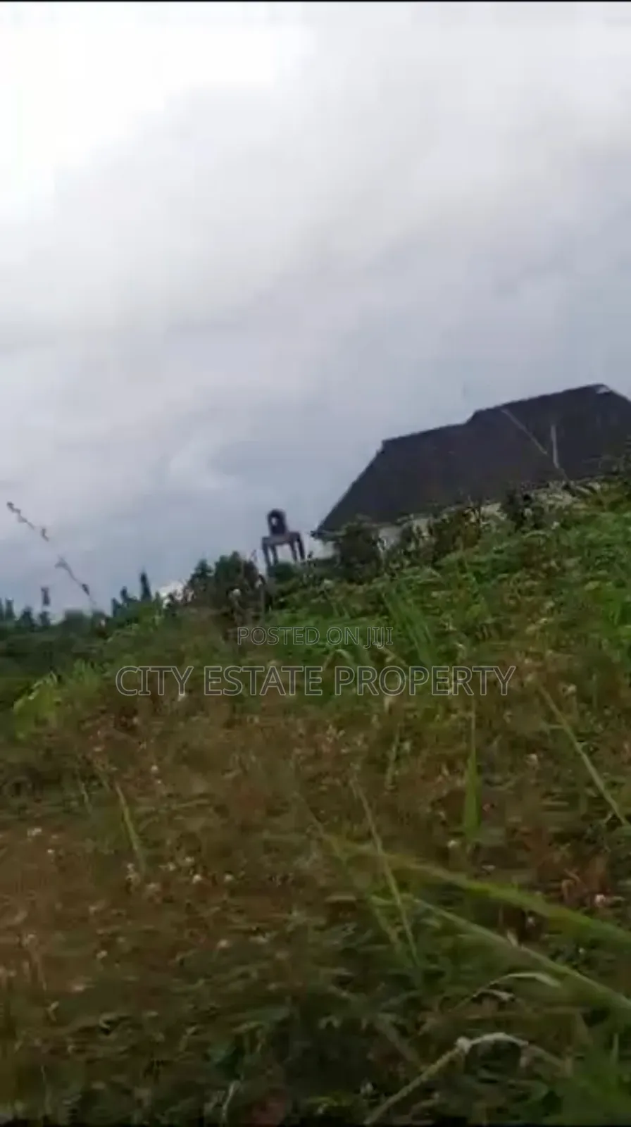 One Plot of Land for Sale in Rukpokwu