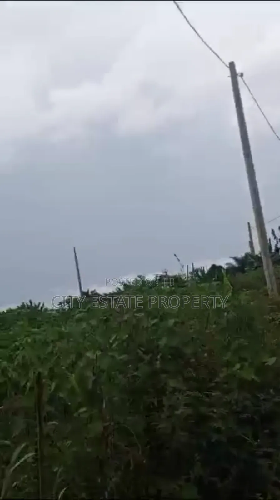One Plot of Land for Sale in Rukpokwu
