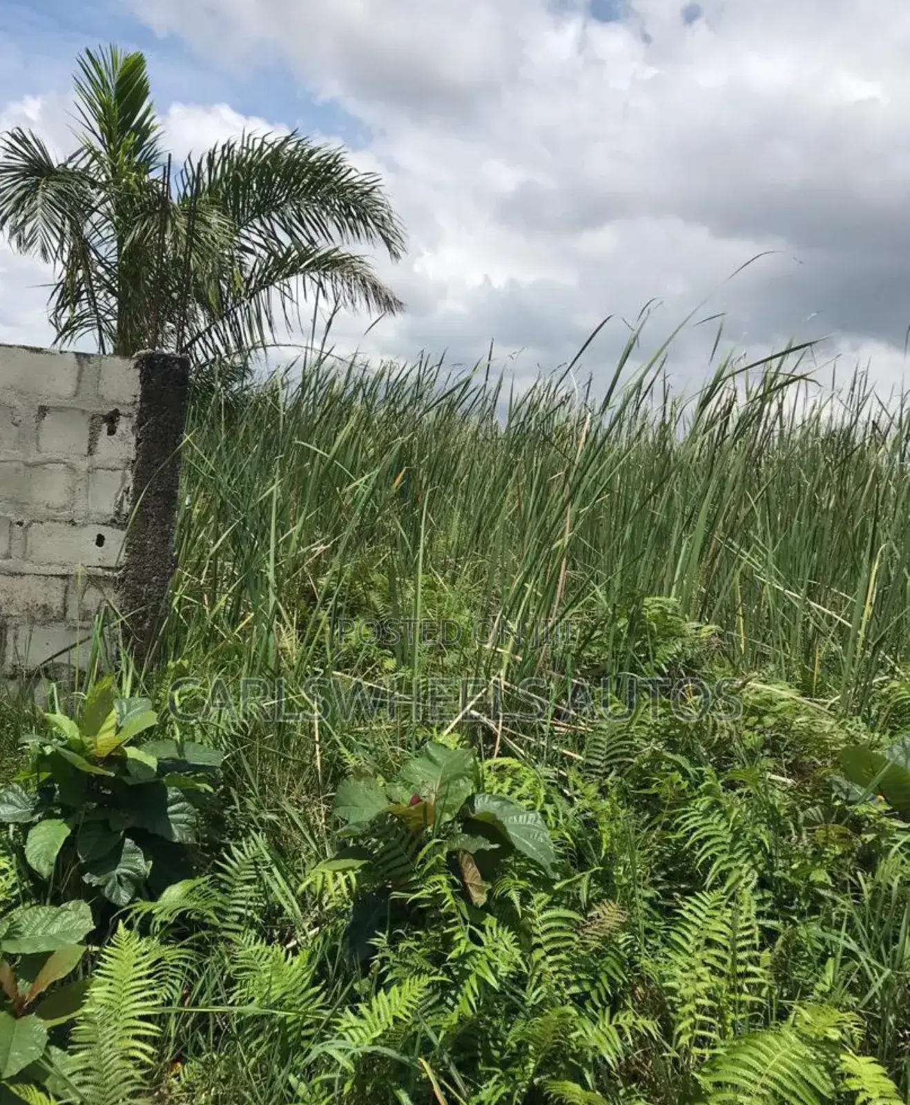 45hters Land at Elerangbe Ibeju Lekki by Dangote Refinery
