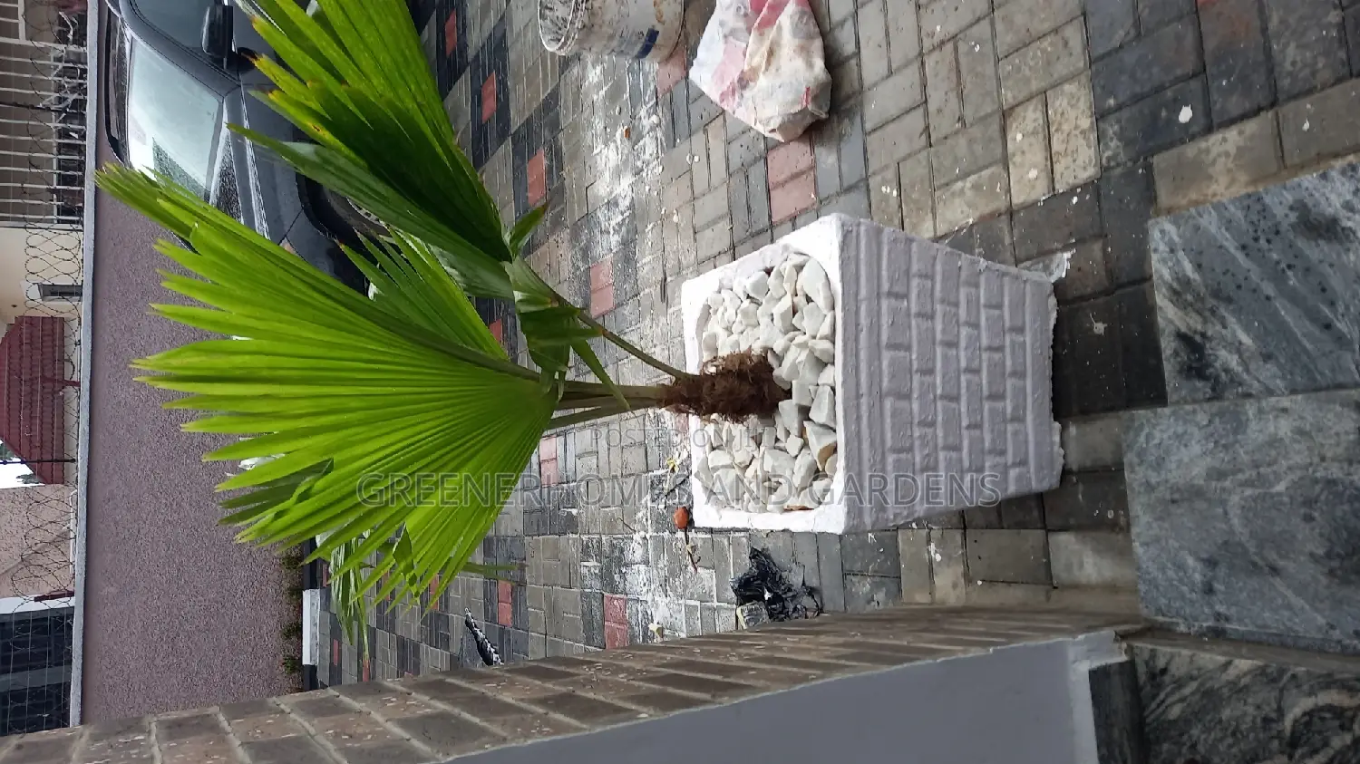 Concrete Planters