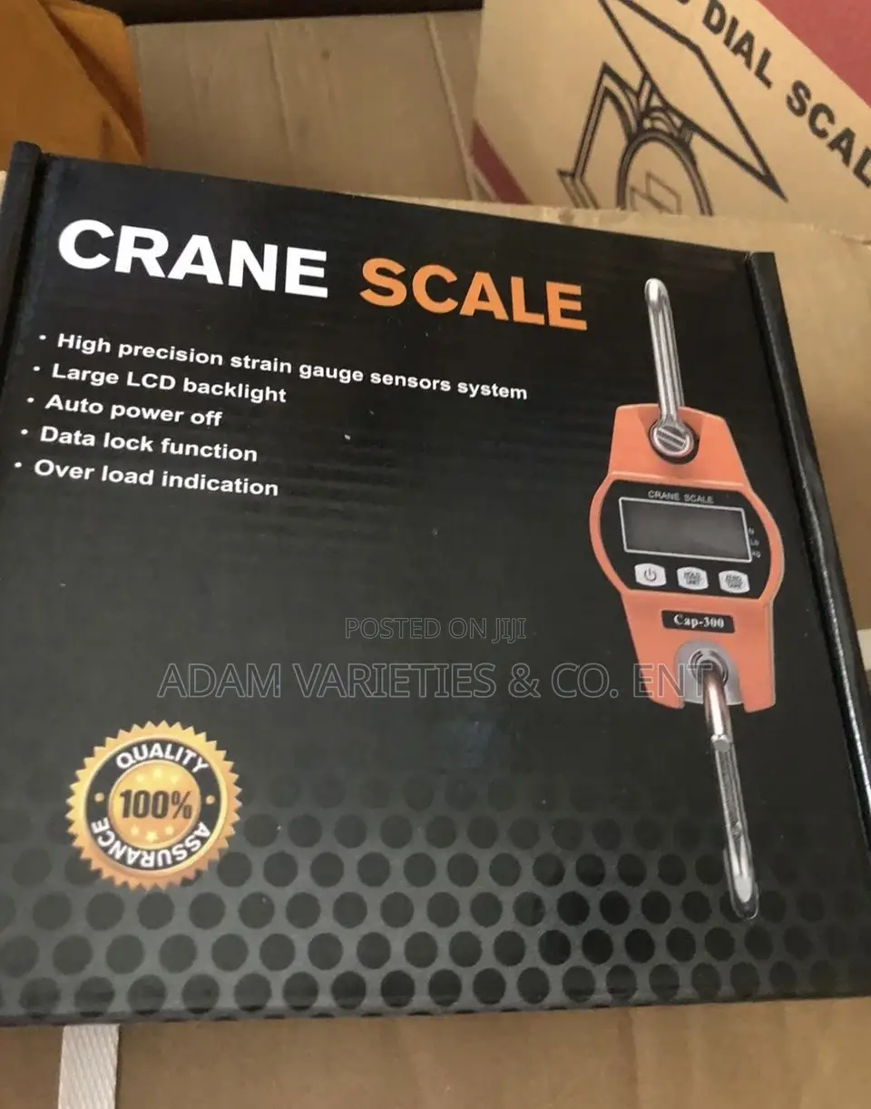 300kg Crane Scale