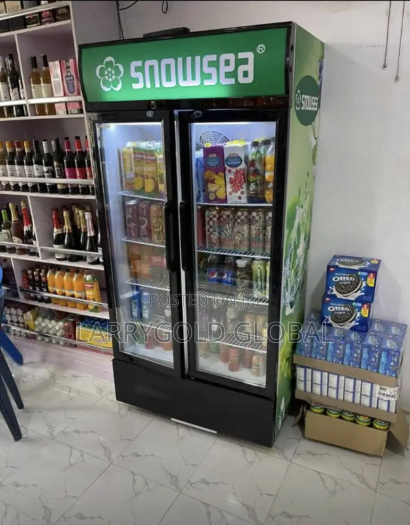 Snow Sea Double Door Display Chiller