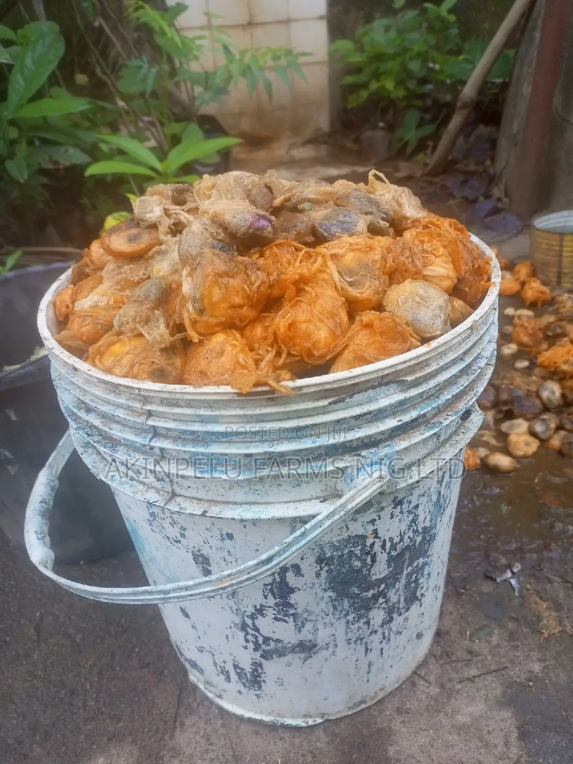 UGU SEED-20 Litre Bucket