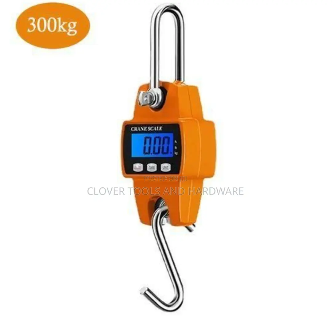 300kg Digital Hanging Crane Scale