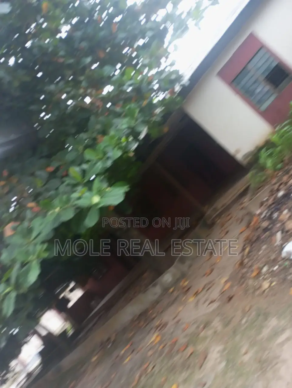 2 Units of 3 Bedroom in Iguando With Mini Flat