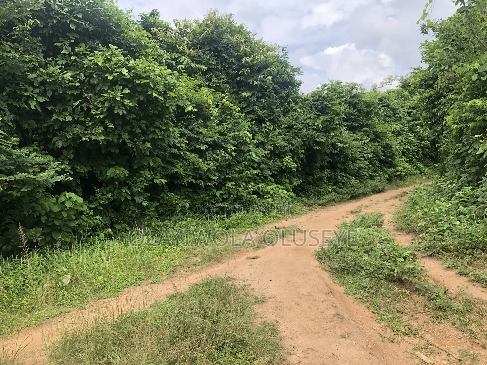 Agriculture Farmland in Ogun State , Nigeria for Sale