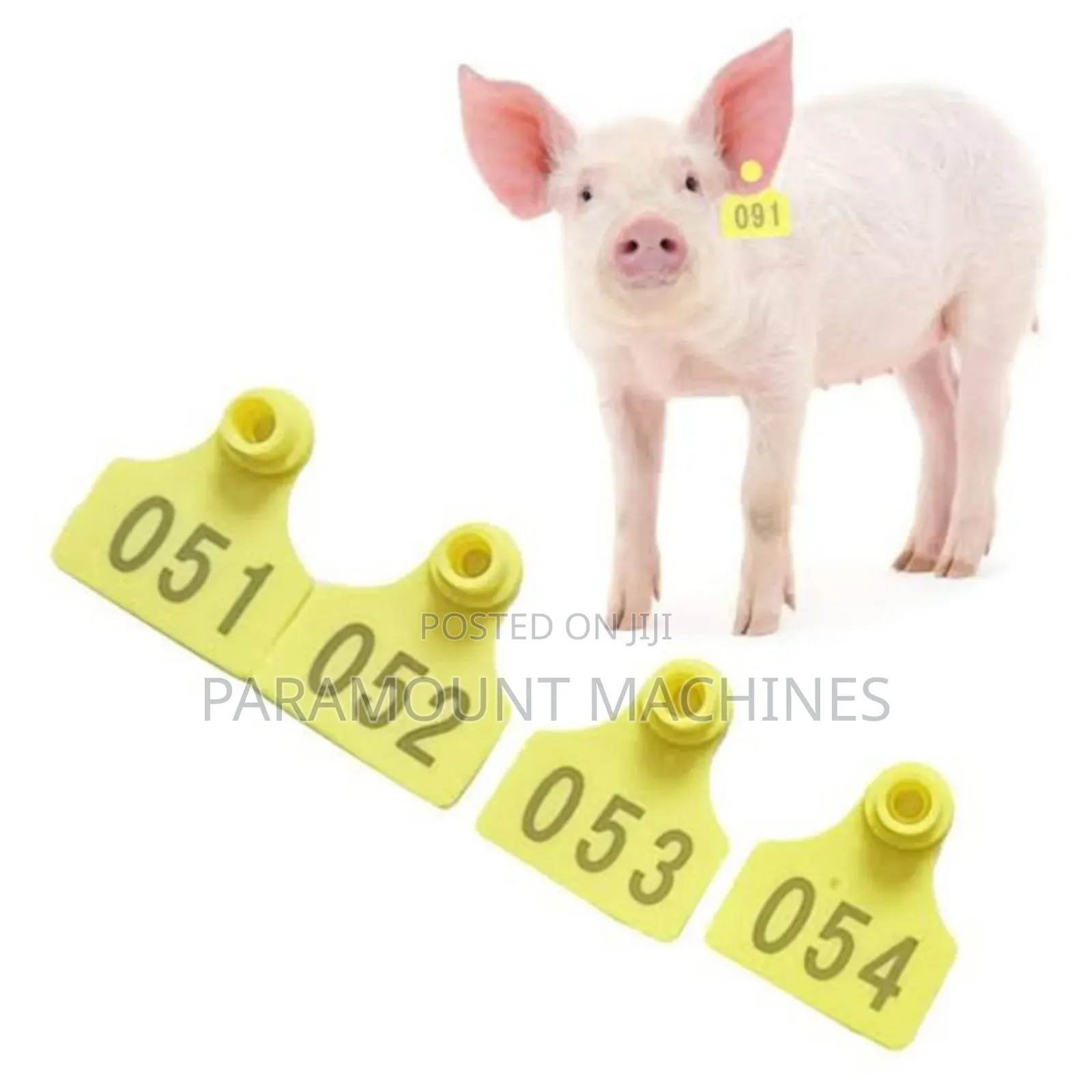 Pig Ear Tag