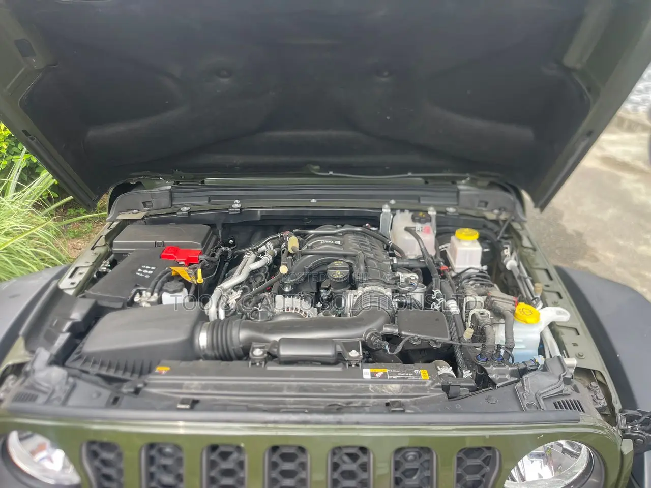 Jeep Wrangler 2024 Green