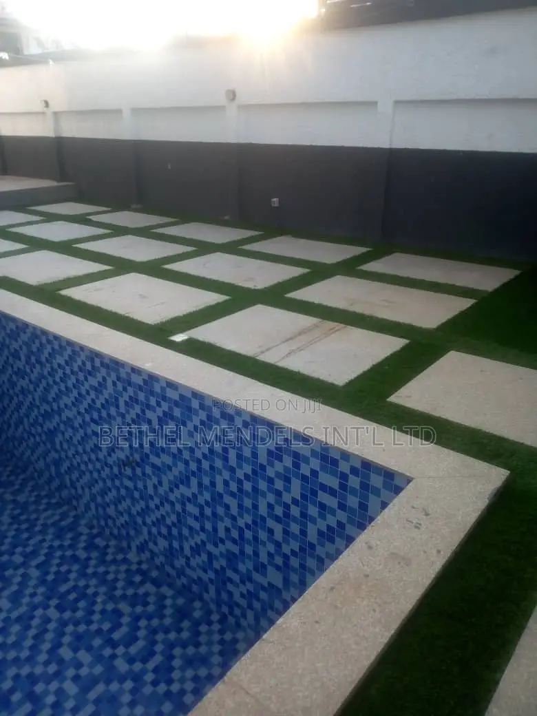 Quality Artificial Carpet Grass for Sale and Installation
