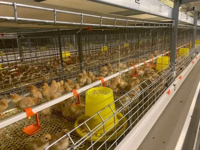 Brooding Cage For Layers,Broiler,Drinkers ,Pelletizer