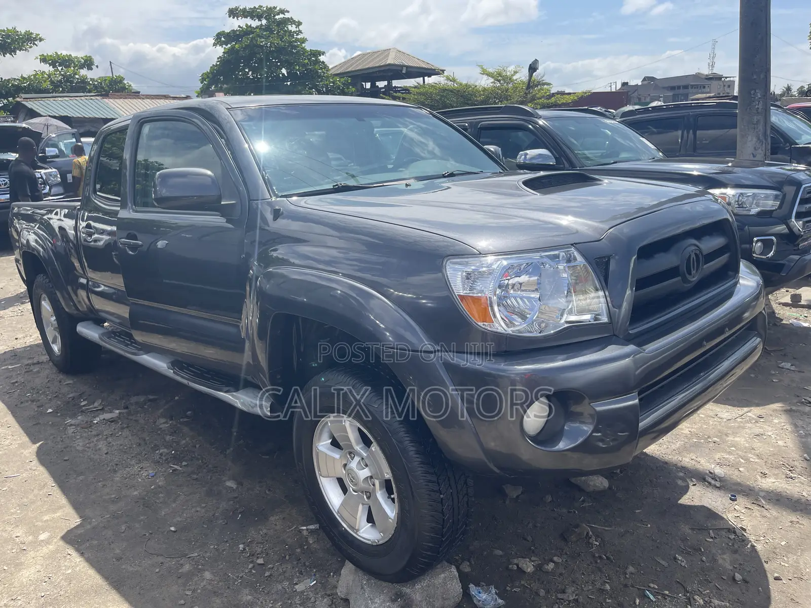 Toyota Tacoma 2010 Gray