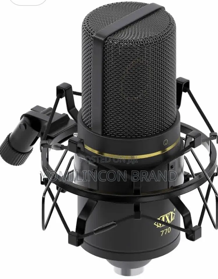 MXL 770 Condenser Microphone Complete Bundle and Cable