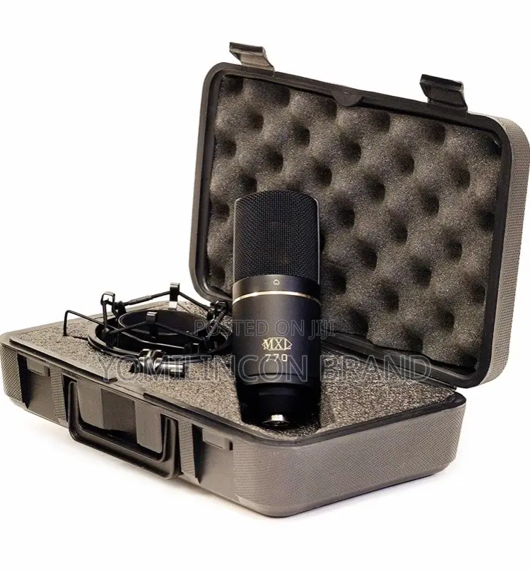 MXL 770 Condenser Microphone Complete Bundle and Cable