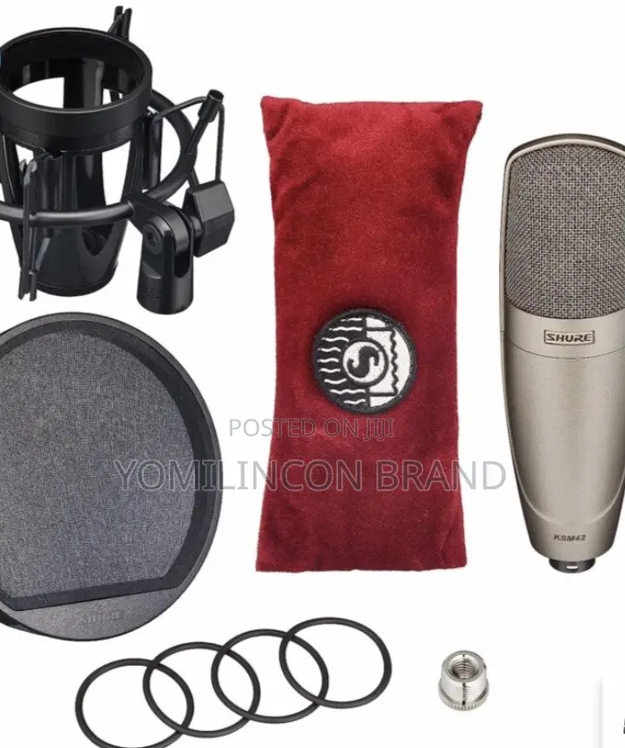 Shure KSM42-SG KSM42/SG Large Dual-Diaphragm Side-Address