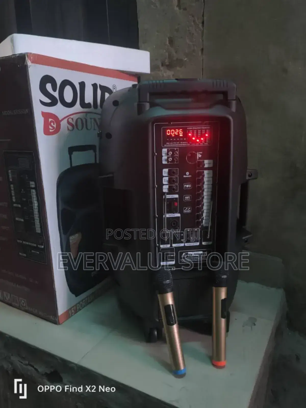 15 Inches Portable Speaker