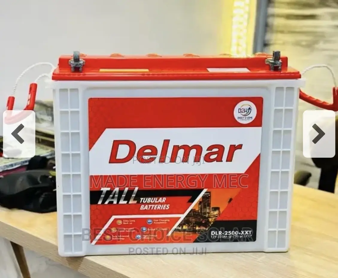 Delmar Tubular Battery 220ah