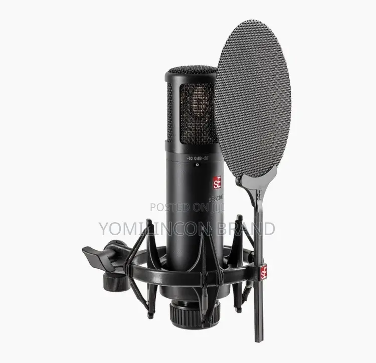 Se Electronics Se2300 Studio Condenser Microphone