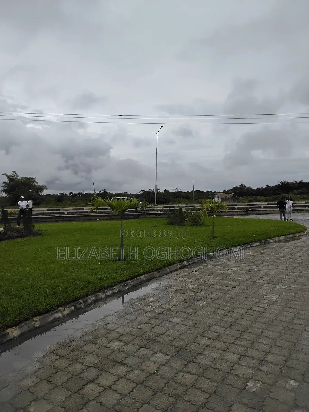 Government Allocated Cofo Land on Lekki-Epe Expressway