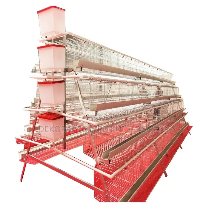 160battery Cage,Imported Poultry Cage,Automatic Bell Drinker