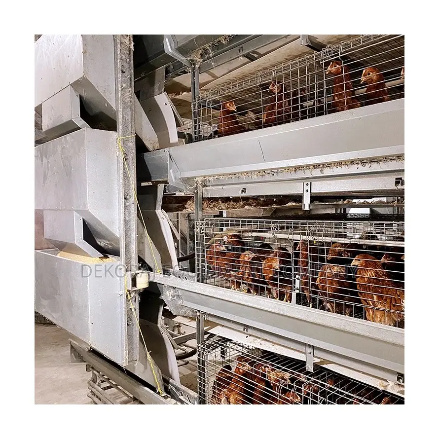 Rear Up to 150,000 Broiler or Layer,Automatic Bell Drinker