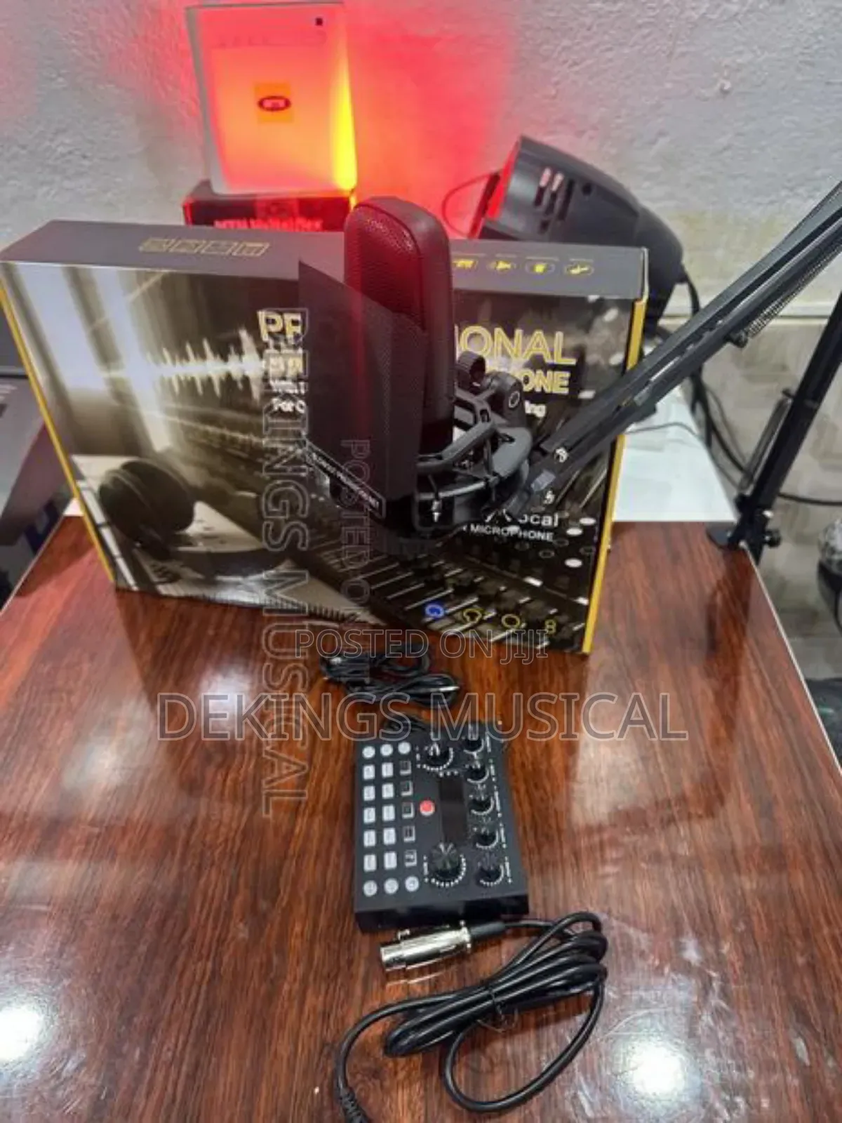Professional Condenser Microphone