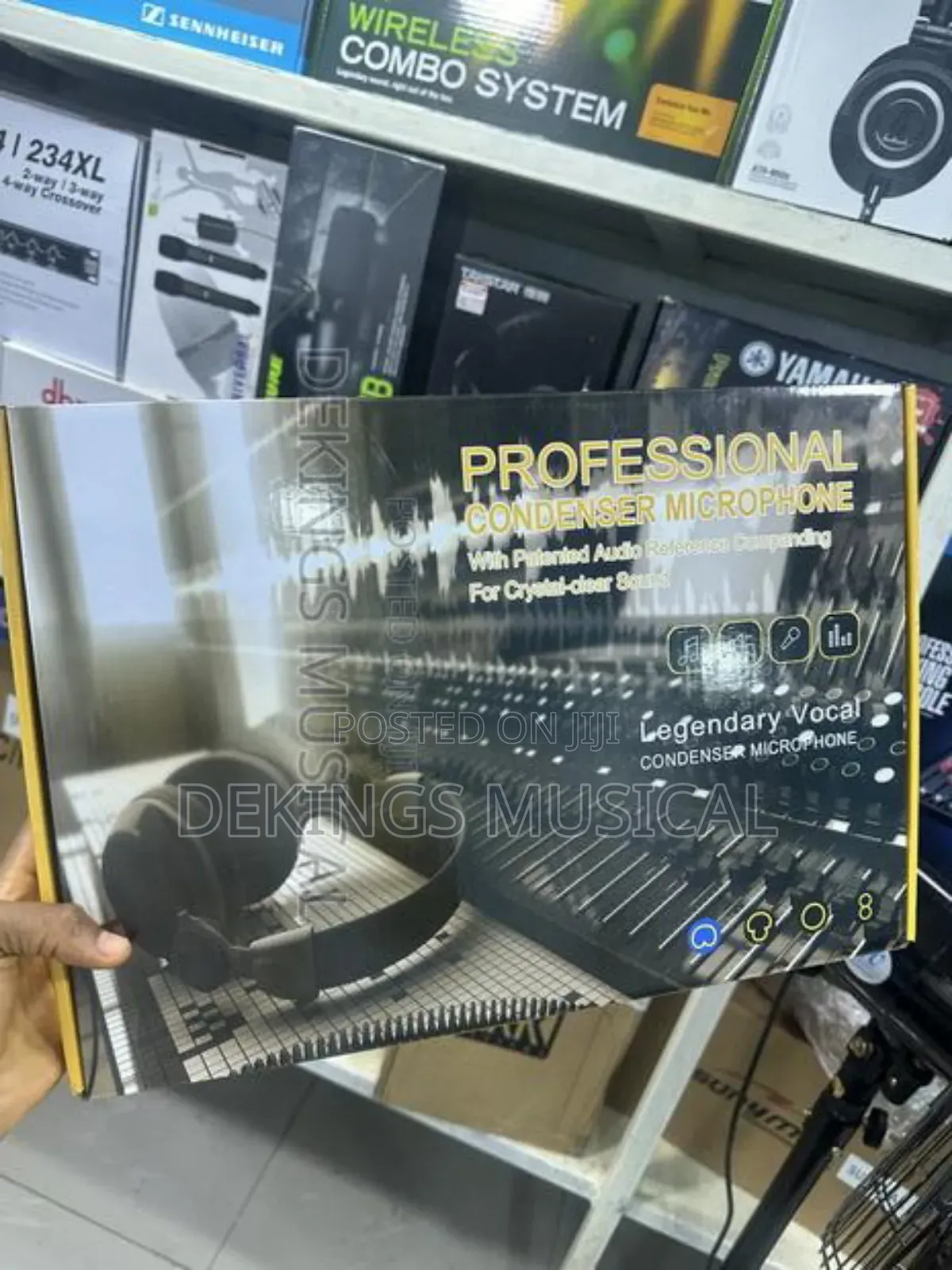 Professional Condenser Microphone