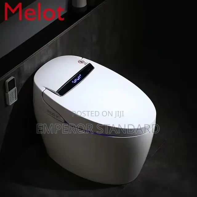 Luxury Sensor Smart Intelligent Toilet