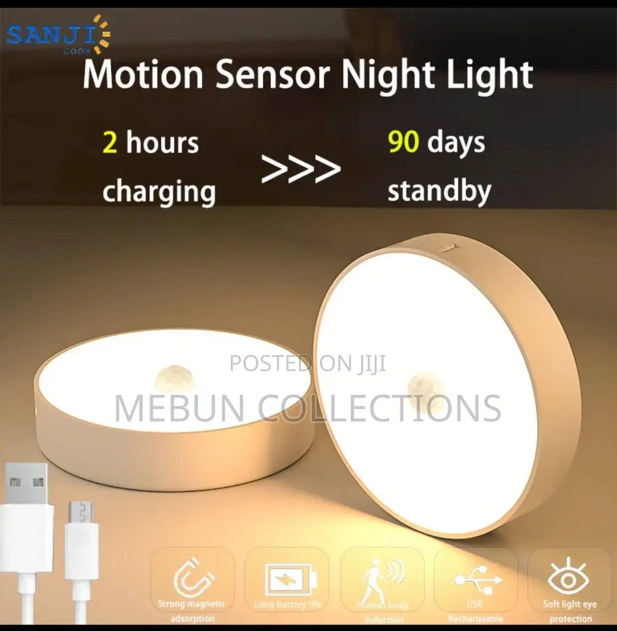 Motion Sensor Light