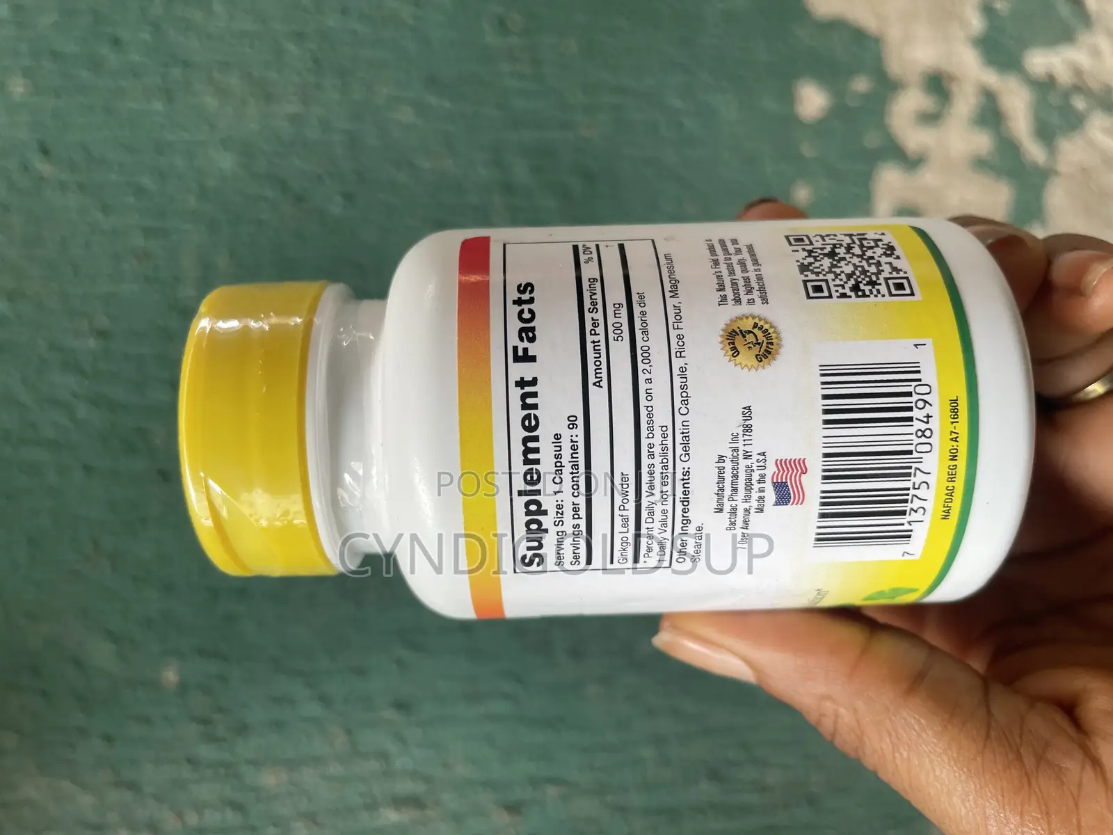 Ginkgo Biloba 500mg