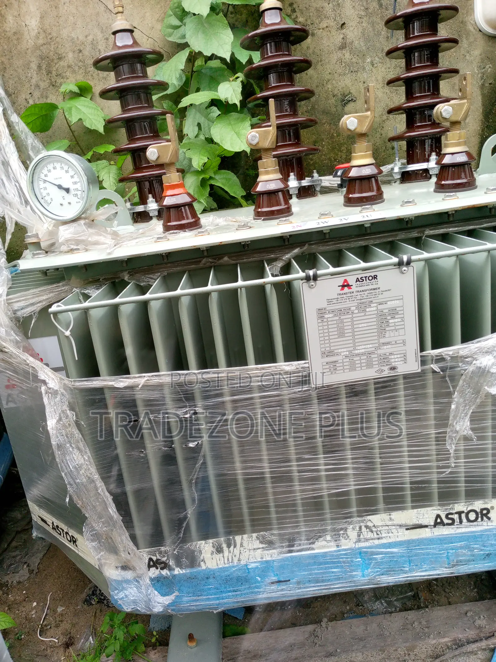 Watt Wonder Astor Power Transformer