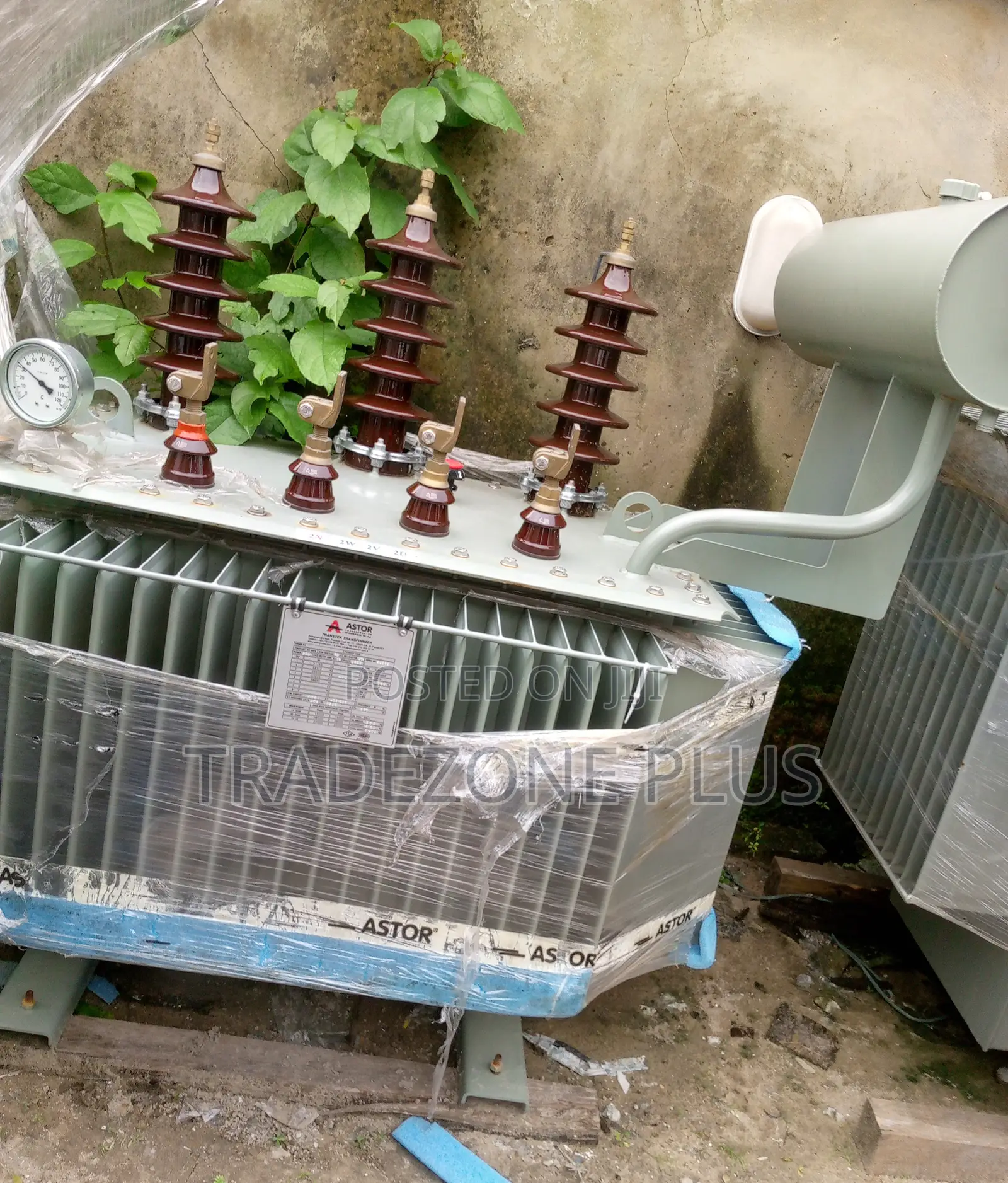 Voltage Vision Astor Power Transformer