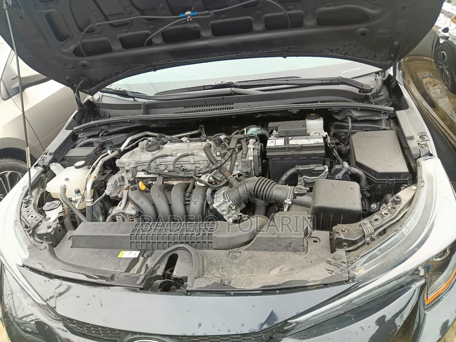 Toyota Corolla LE 2022 Black