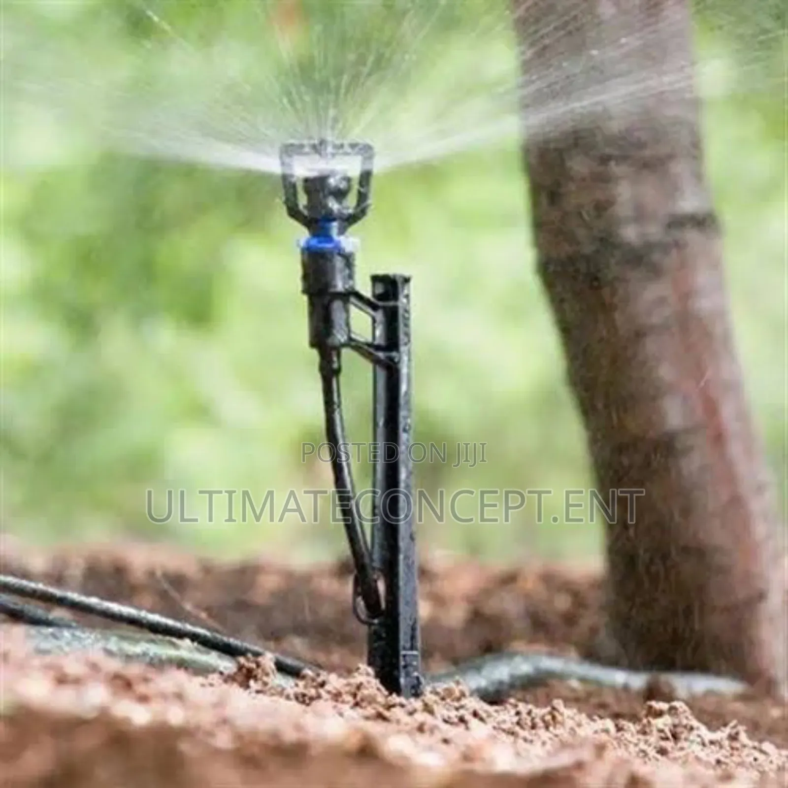 Micro Spinklers Irrigation
