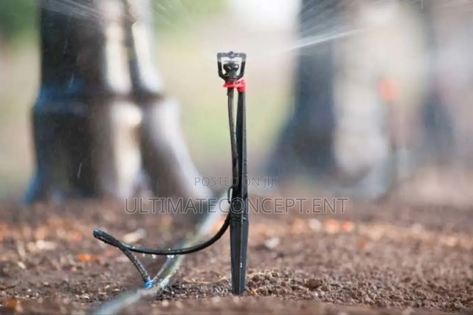 Micro Spinklers Irrigation
