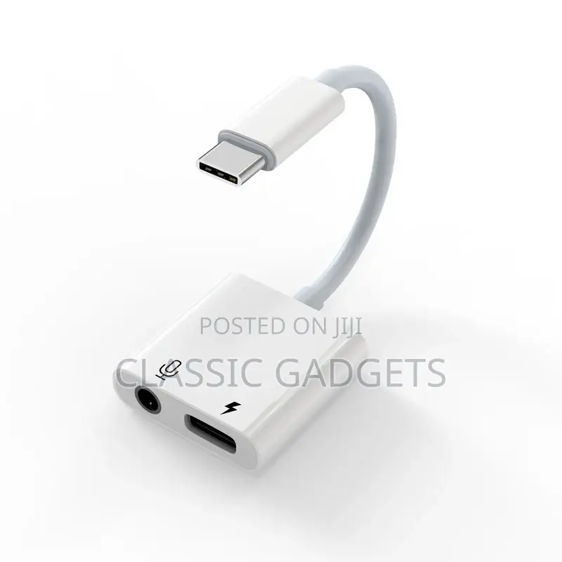 2 in 1 Type C to 3.5mm Charging Audio Adapter