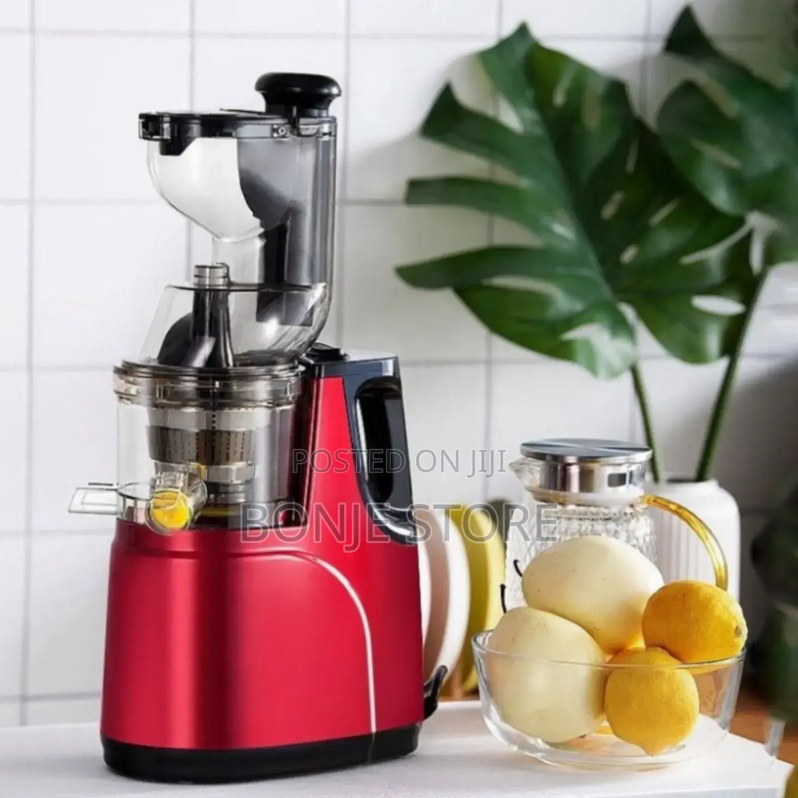 SKG Slow Juicer - Ecology Series 150W