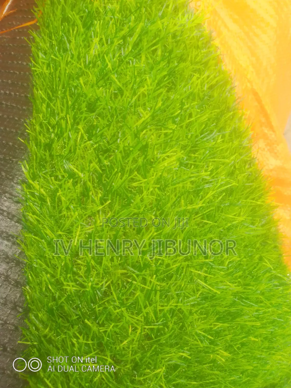Turkey Grass Carpet