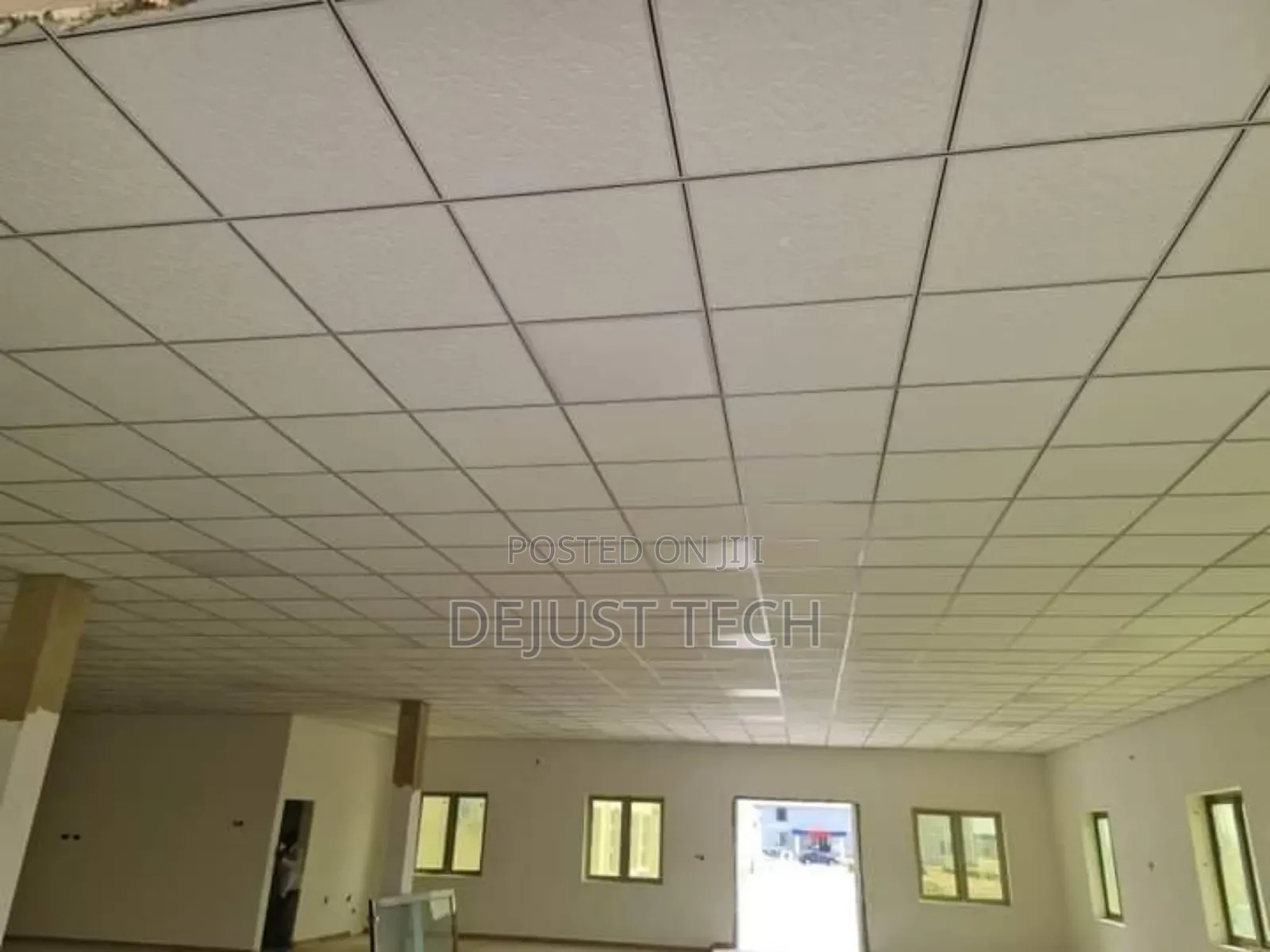 Professional Suspended Ceiling Works