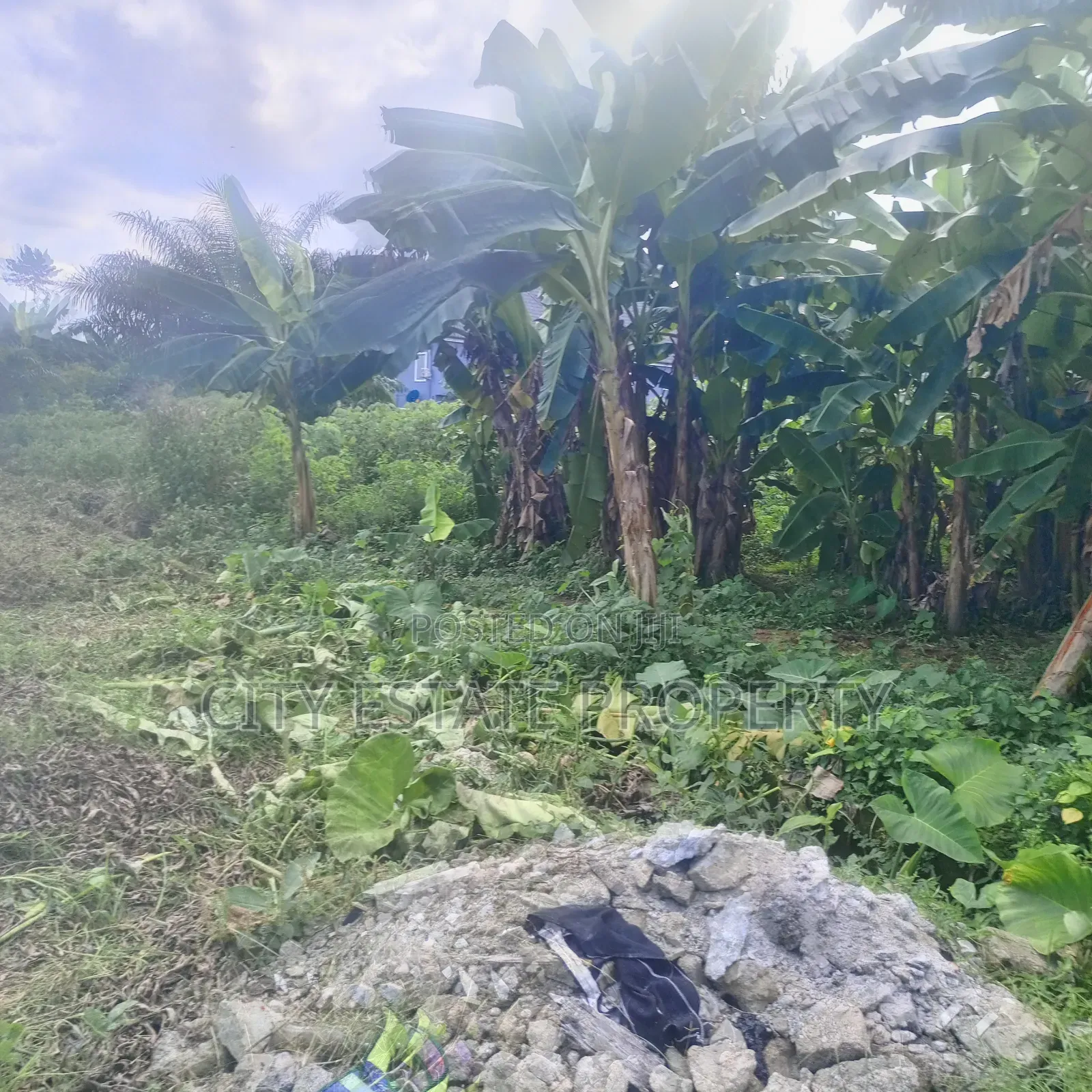 Land for Sale at Chomana Off Rukpokwu Eneka Rd Fed Light